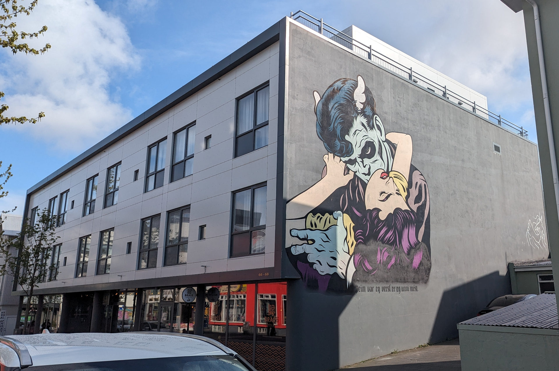 Haus in Reykjavik mit Vampir Graffiti 