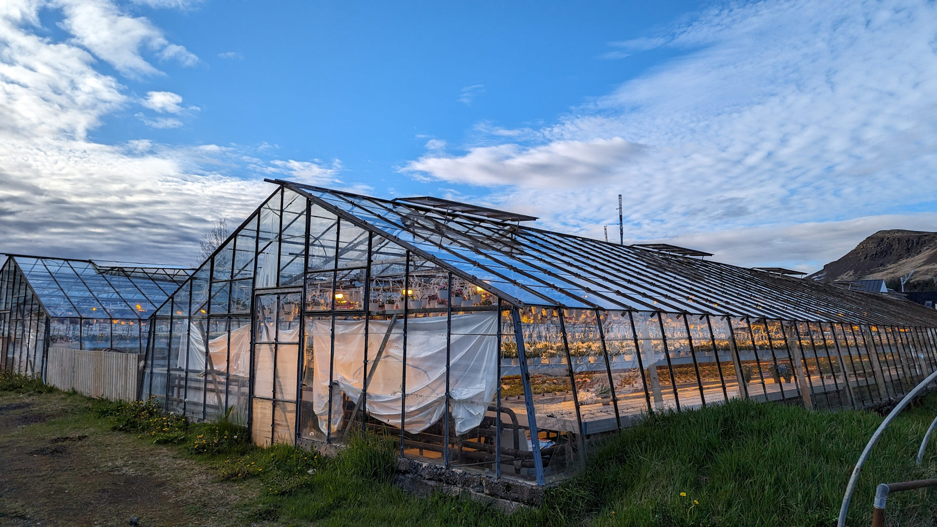 Gelb leuchtendes Gewächshaus in Hveragerdi 