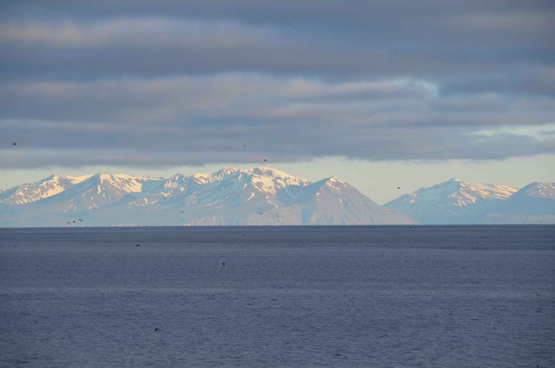 Küste Islands mit Schnee bedeckten Bergen