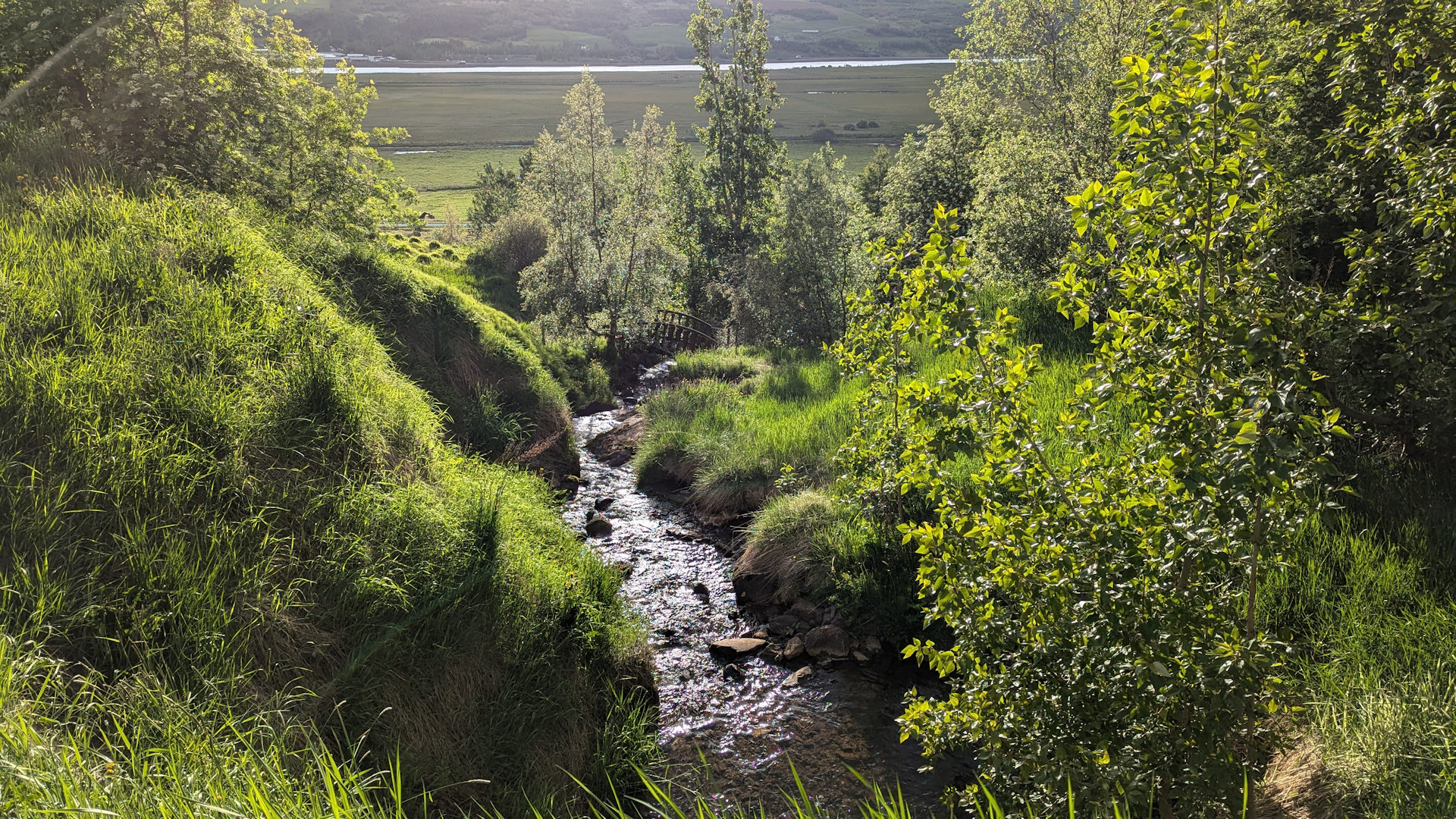 Kleines Tat mit Holzbrücke und grüner Vegatation