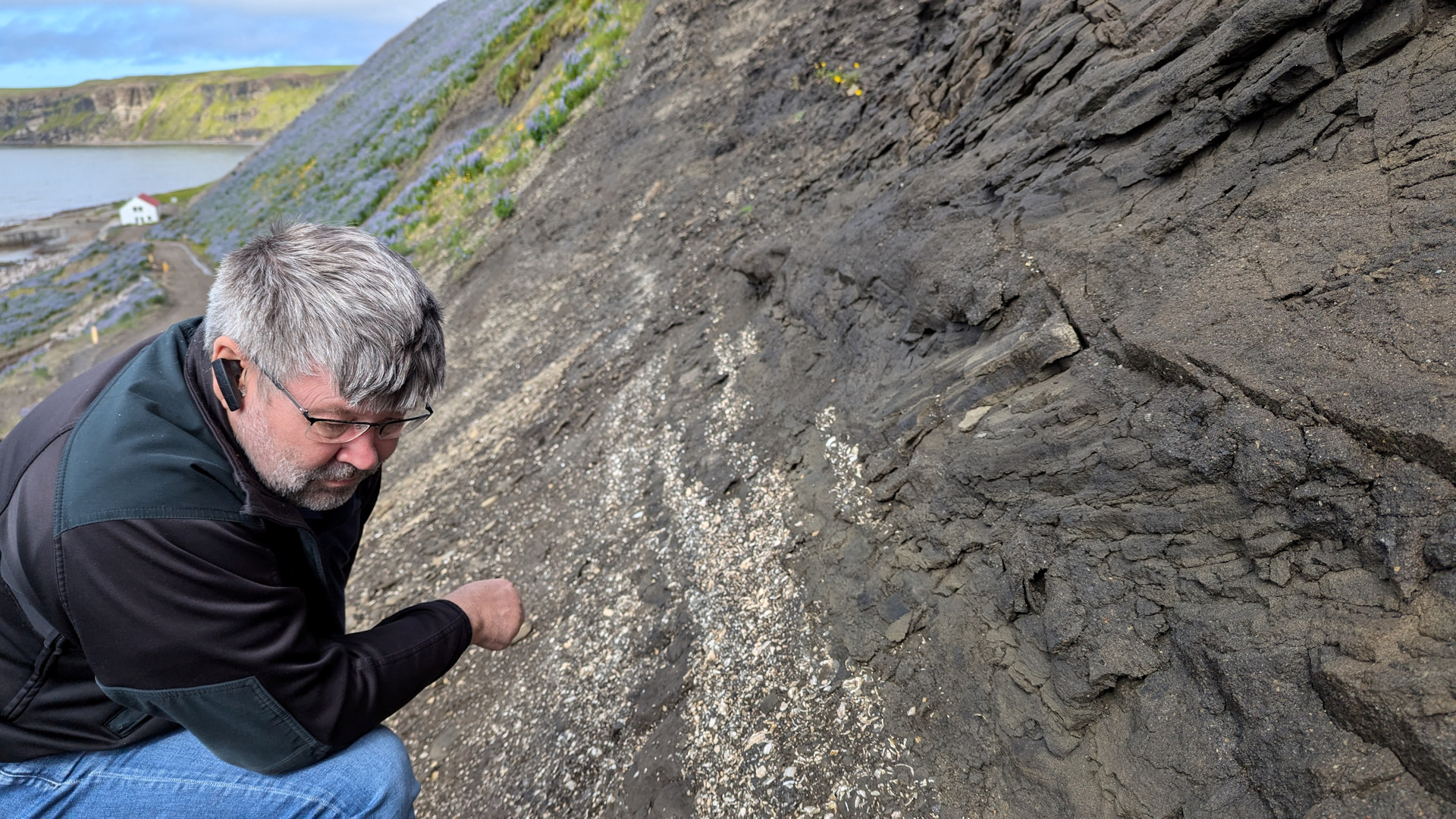 Sandschicht mit versteinerte Muscheln in Tungulending  Island