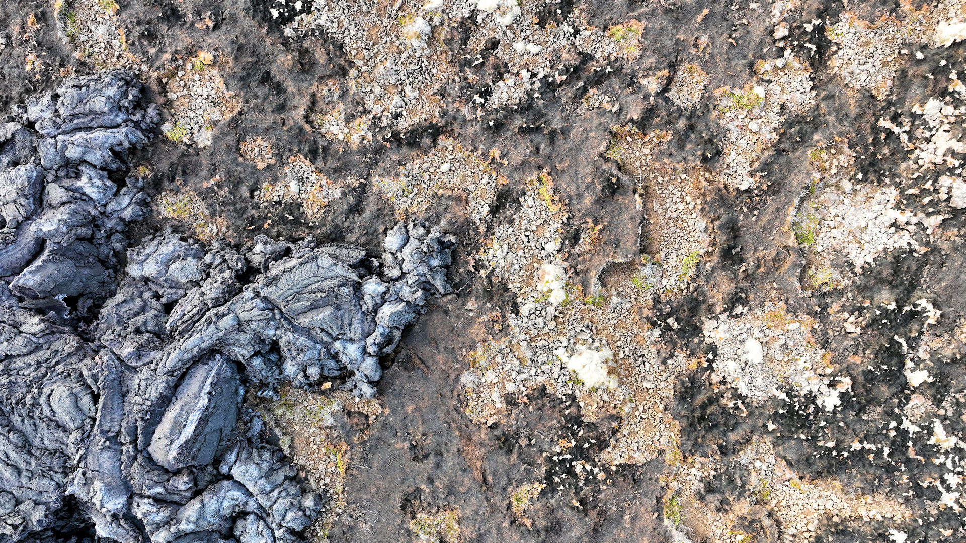 Schwarze Lava und verbranntes Moos 