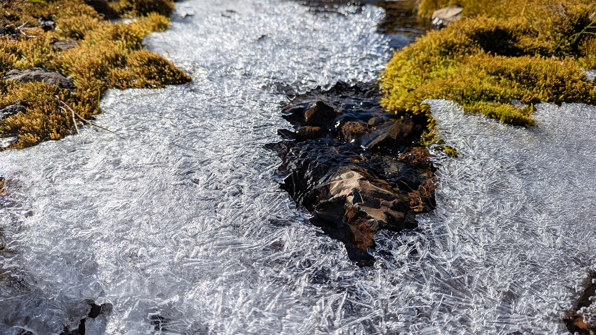 Kleiner Bach der mit Eiskristallen zugefroren ist