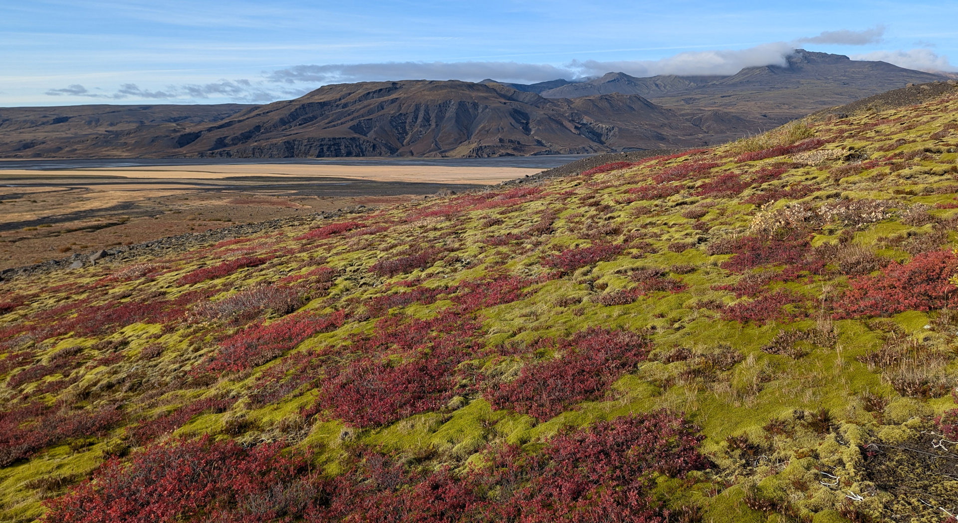 Herbstliches Thorsmörk mit roten Blaubeerbüschen auf grünem Moos