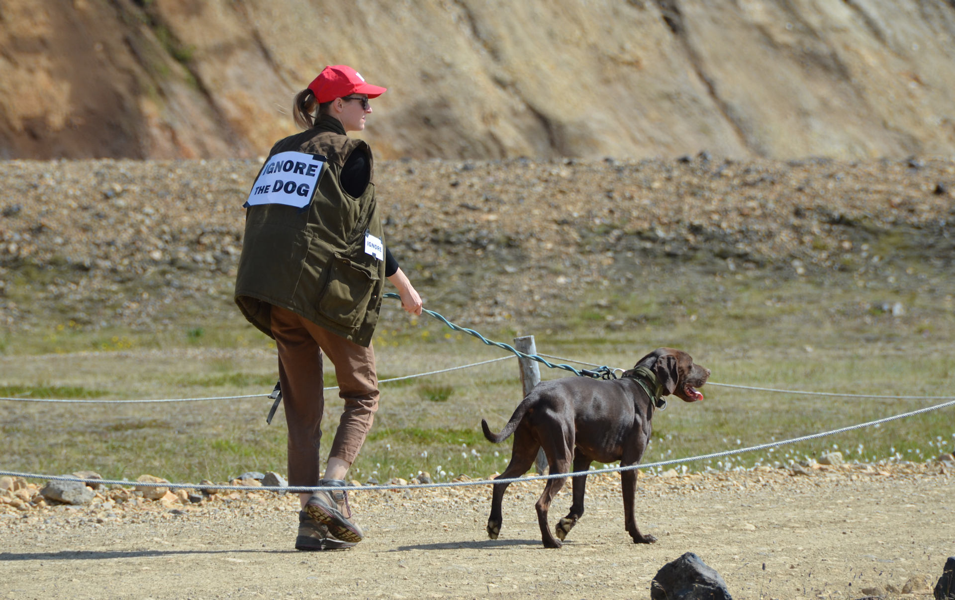 Junge Frau mit roter Kappe und einem ignore the dog Schild mit wildem Hund an einer kurzen Leine