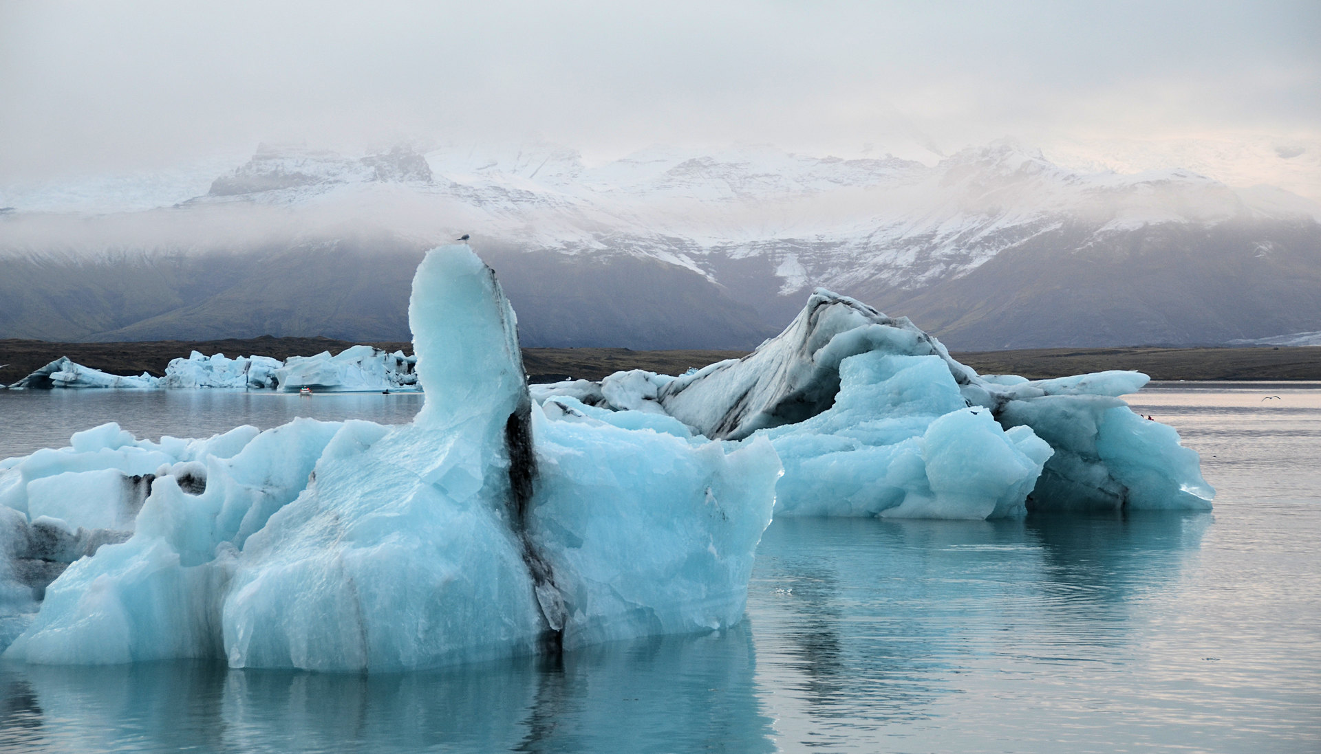 Blau schimmernder Eisberg Jökulsarlon Island