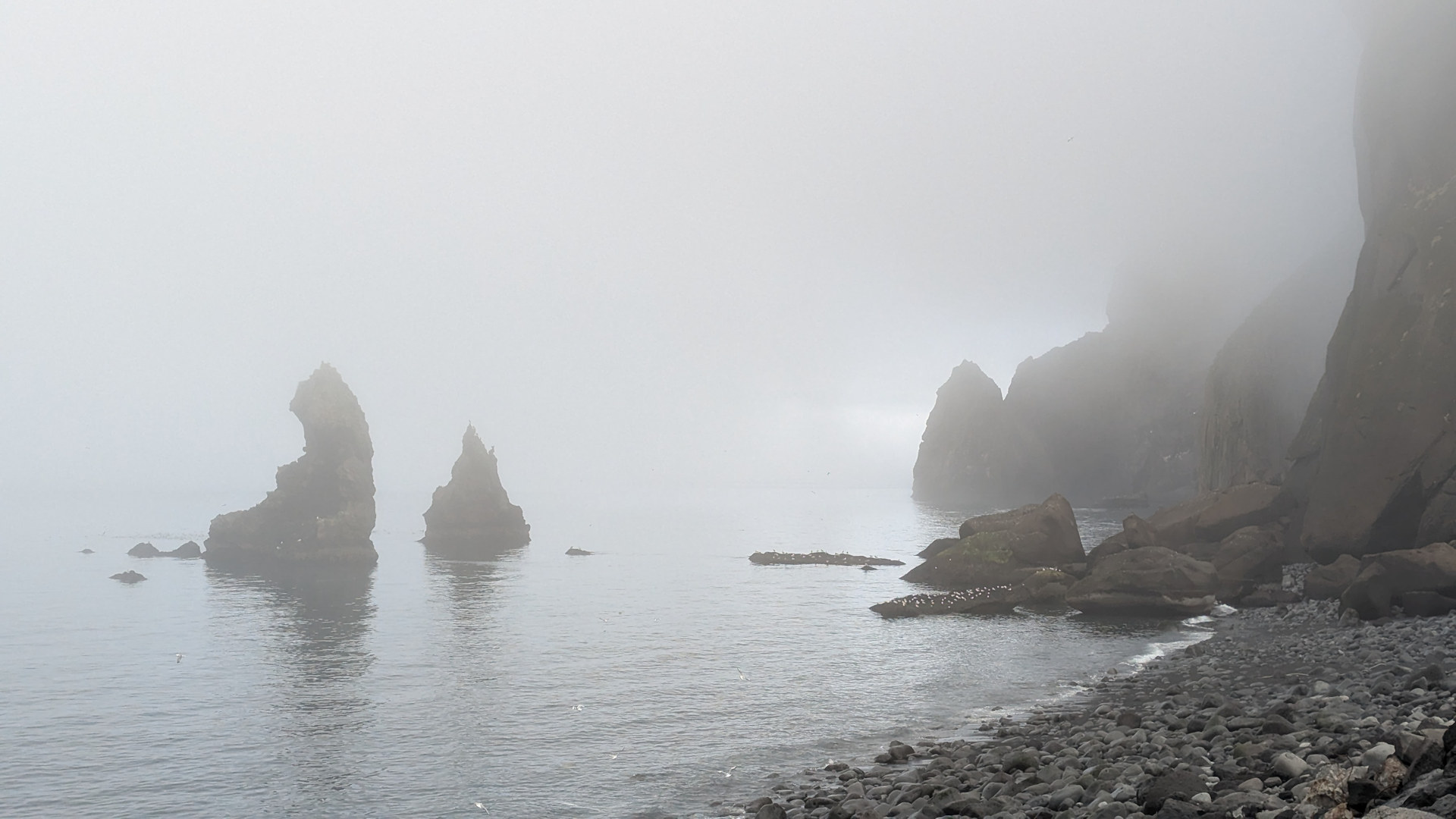 Gespenstischer Küstennebel Westmänner Inseln Island 