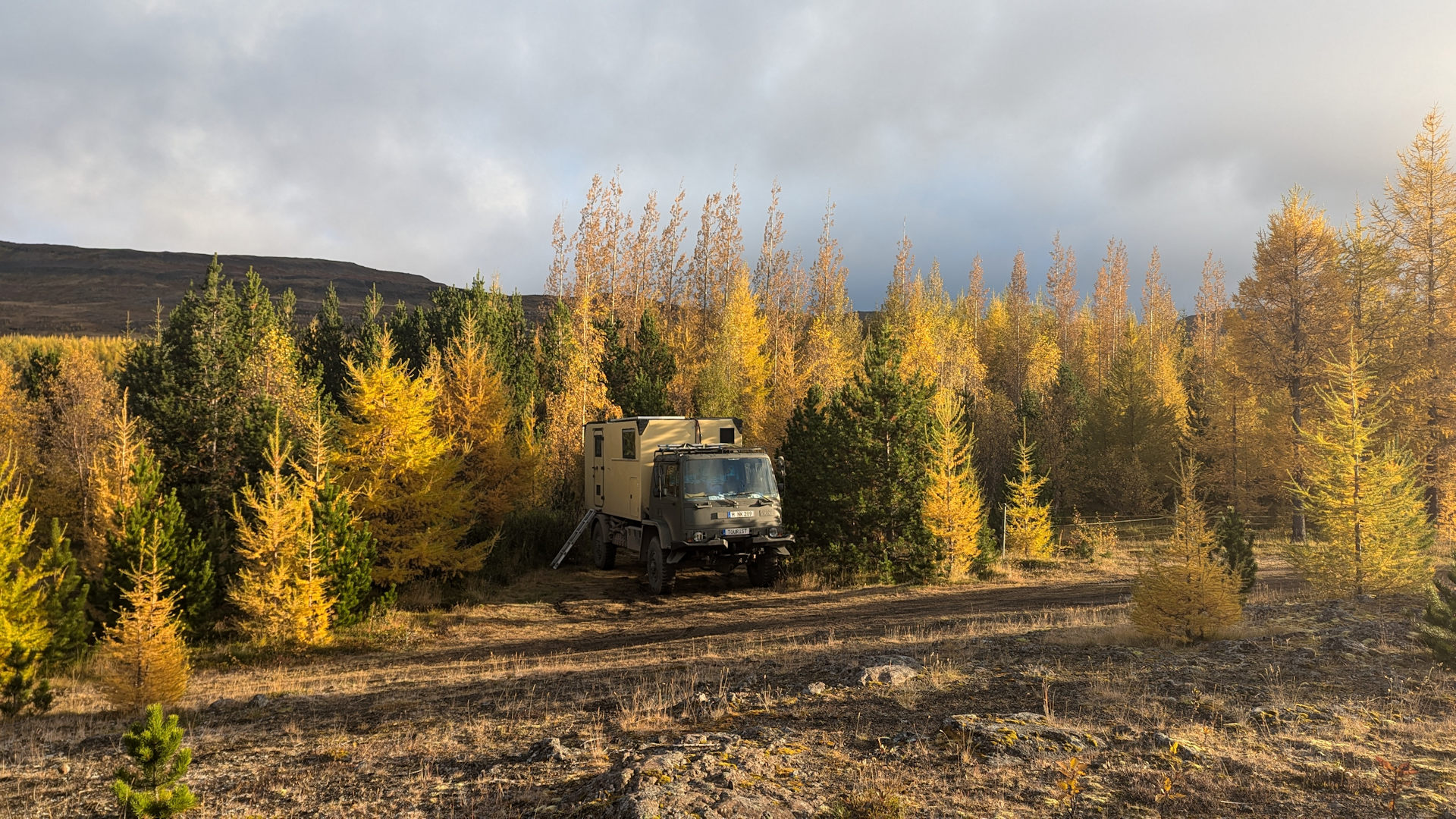 Ein LKW parkt in einem sonnigen Waldgebiet am Lagarfljöt Island