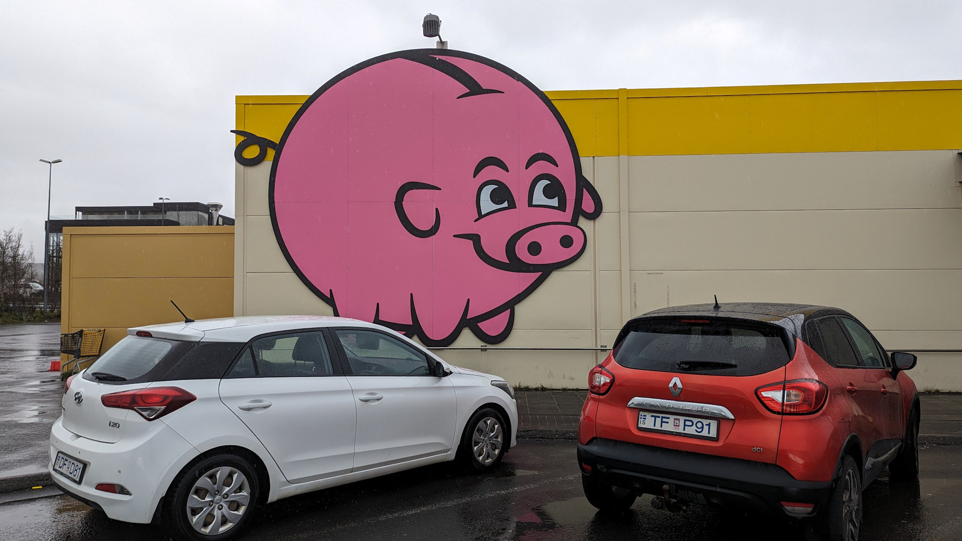 Rosa Sparschwein als Maskottchen der Bonus Supermarkt Kette in Island