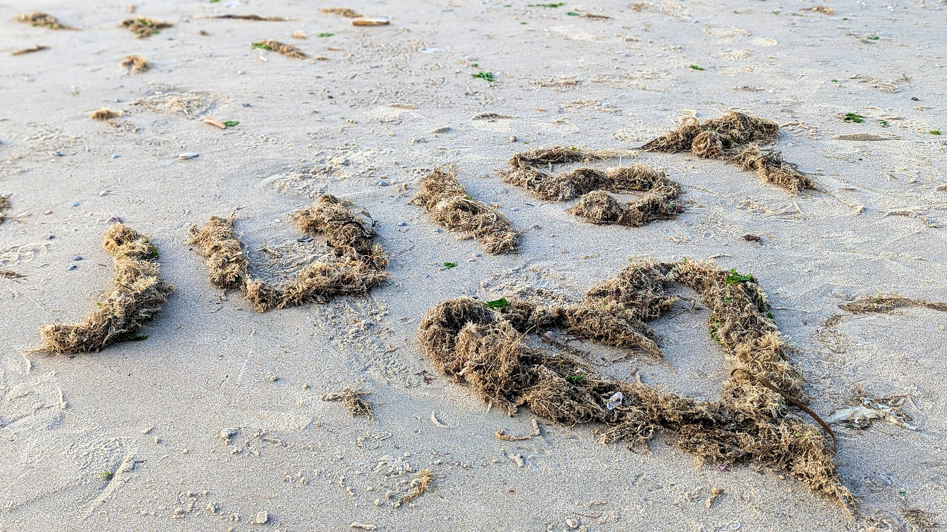 Aus Seegras geformter Juist Schriftzug mit Herz am Strand 